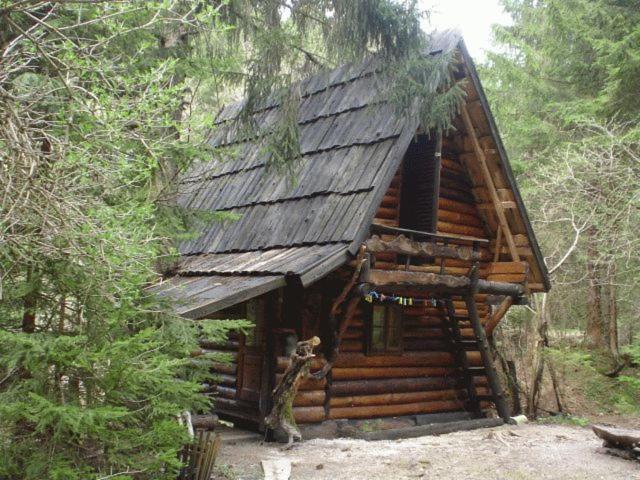 Holiday Park Zelenkovac Podrasnica Eksteriør bilde