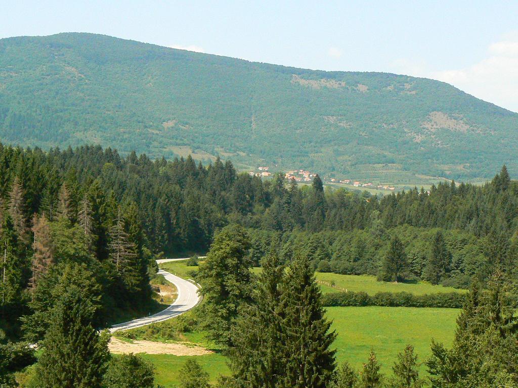 Holiday Park Zelenkovac Podrasnica Eksteriør bilde