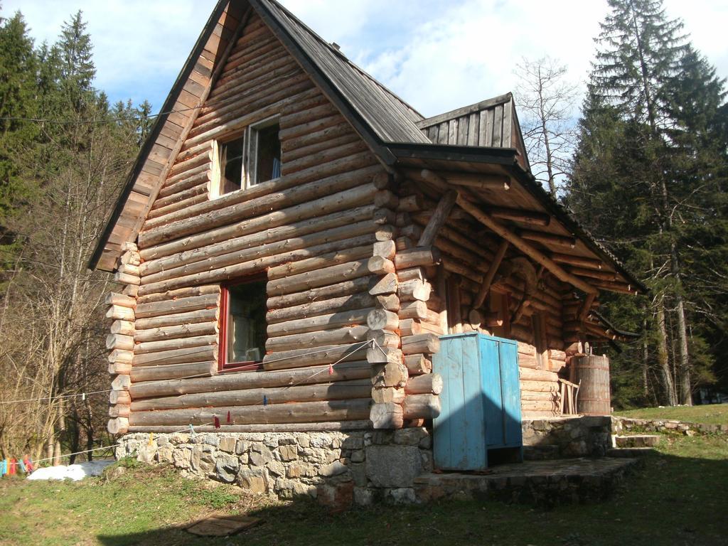 Holiday Park Zelenkovac Podrasnica Eksteriør bilde