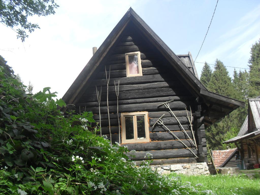 Holiday Park Zelenkovac Podrasnica Eksteriør bilde